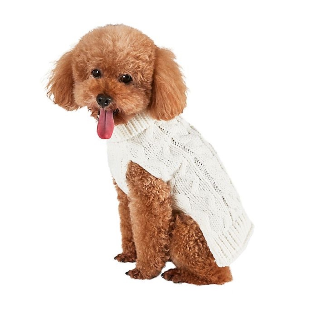 Bee & Willow™ Home Cable Knit Dog Sweater - NWT